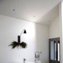 심플토산 이미지