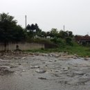 다시올민박 이미지