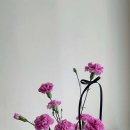 플로레스타남양주