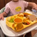 아난티 앳 강남 | 아난티 앳 강남 조식 후기 — 강남 한복판 호캉스에서 맞이한 아침의 여유