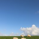 서울목장 이미지