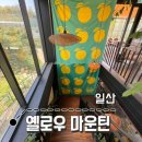 배꽃농장 | [카페여행/일산] 배 과수원 배꽃 산책로 옐로우마운틴 ( 배꽃 시기 맞춰가기 )