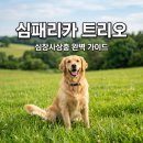 심패리카 트리오 가격 및 효과 총정리! 넥스가드 비교 가이드