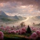 봄 숲으로 가자 이미지