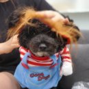 서일동물병원 이미지