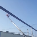 성림축산 Daum카페
