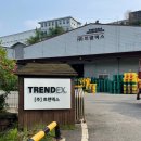 트렌덱스