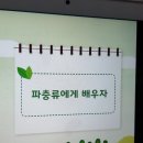 창의성 영재교육 키즈닥터 온라인수업-과학수업 동물편2교시