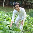 매사경로당 이미지