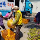 남천세탁 이미지