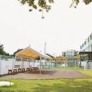 라드독 애견미용실 이미지