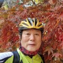 서울숲11 이미지