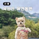 서울북한산초등학교 | 서울 북한산 국립공원 애견동반 등산 주차장 둘레길 산책 코스 및 예약방법