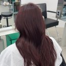 아름원색 | 칙칙한 모발에 생기를 뿜뿜! 아름쌤이 추천하는 '레드브라운' 톤업 ✨/야탑미용실,분당미용실