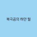 하얀 이미지