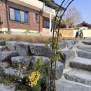 거창고등학교 | VODA 거창 창포원 근처 경치좋은 대형카페 보다카페 버터떡 내돈내산 후기