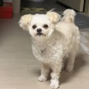 아르돌 노래연습장 | 김하돌 1월 첫째주 일상(덕질)일기