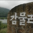 관정(2-5)
