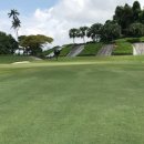 이동골프클럽 이미지