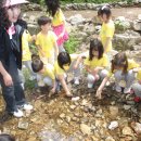 금병초등학교 병설유치원 이미지