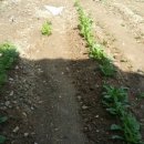 남지부동산 이미지