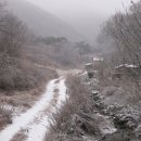 송이골 티스토리