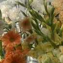 감꽃향기 | 안양꽃집/포곤플라워