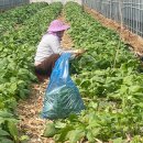 계절축산 이미지