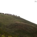 한우축산 이미지