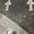 도원대중사우나 이미지