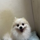 (주)천둥소리 이미지