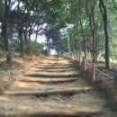 생태다리 이미지