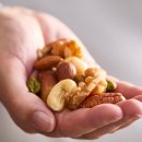 헬스버스 이미지