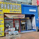 팰리스애견용품