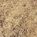 한산농장 이미지