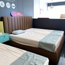 템퍼;쇼파279