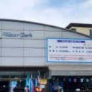 로만바스 수영장 이미지