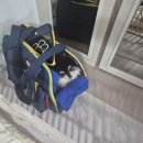 IP Pro | [반려동물 홈캠 후기] 헤이홈 Pro+ 5MP 실제 사용해보니… 까미 일상 관찰 성공!