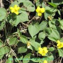 학바위목장2 이미지