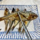 청운신협 본점 앞(2) | 청주 복대동 전어, 대하, 횟집 맛집 | “청운수산활어직판장”