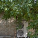 양주산성로 이미지