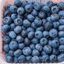 금사농장 이미지