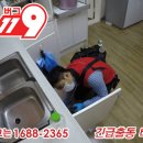 버그119