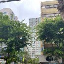 태영아파트 사거리 이미지