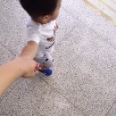 서일모터스 | 안양카센터 서일모터스 : 차에서 소리나요 고친 후기