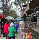 용궁연잎호두 이미지