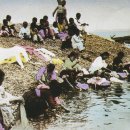 우리빨래터 이미지