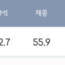 운동하는 코끼리 이미지