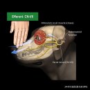 이태원동물병원 이미지