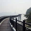 전곡항 공원 이미지